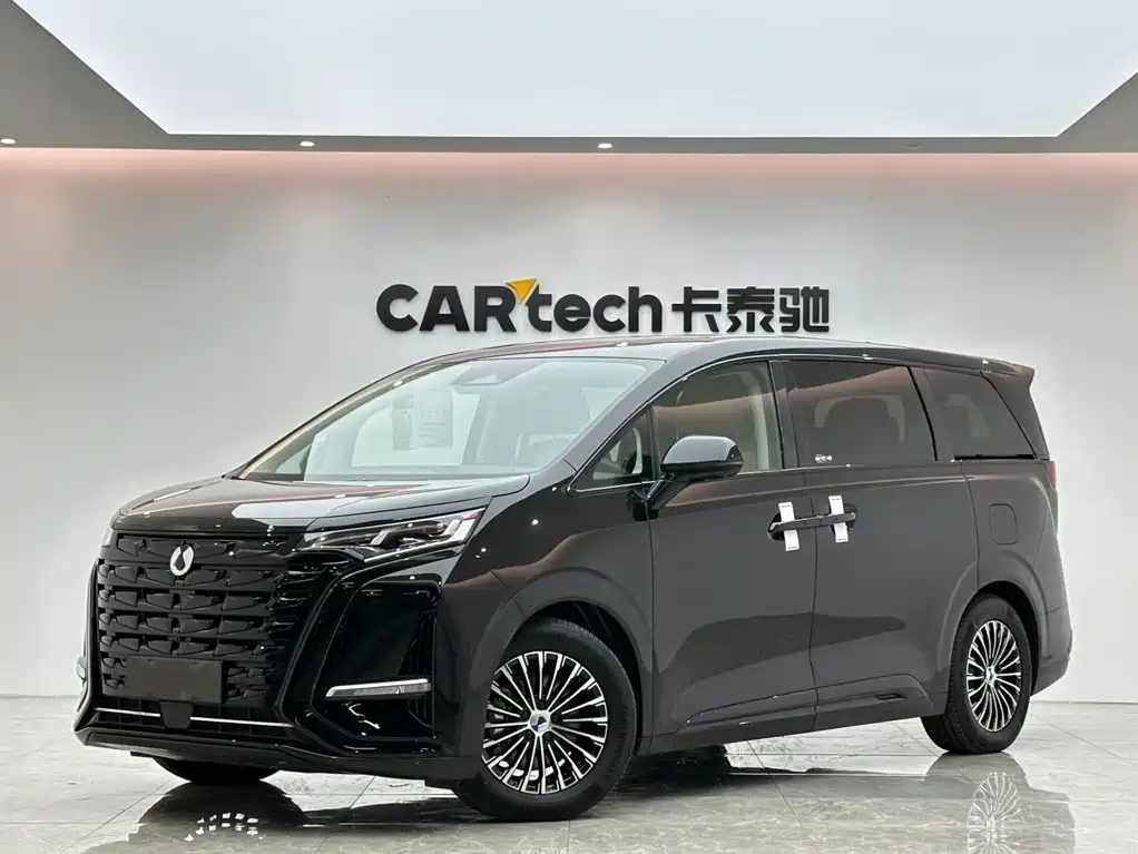 Denza D9