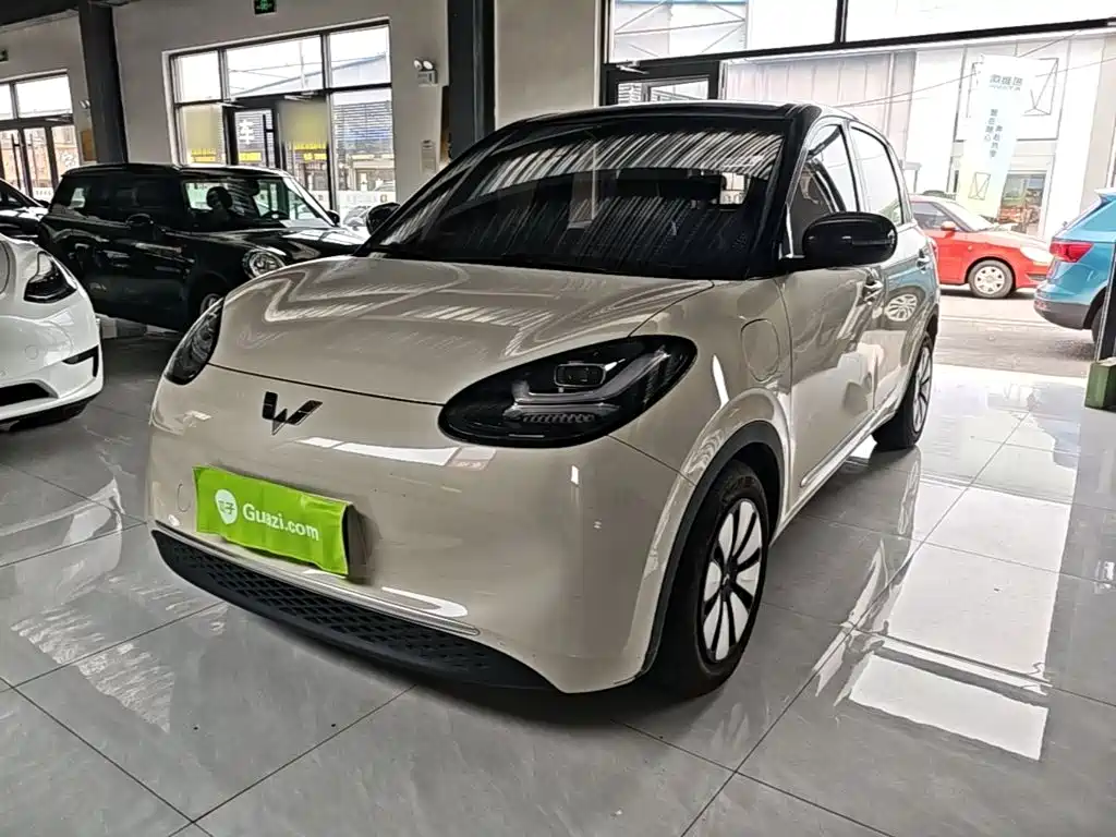 Wuling Binguo