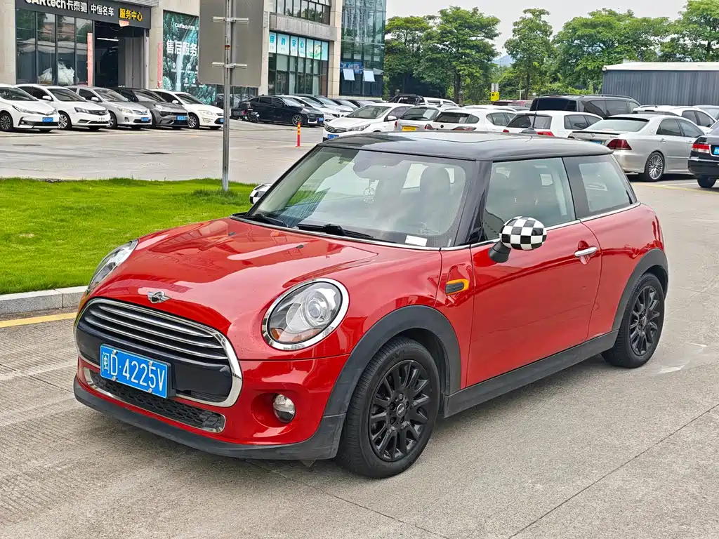Mini Mini