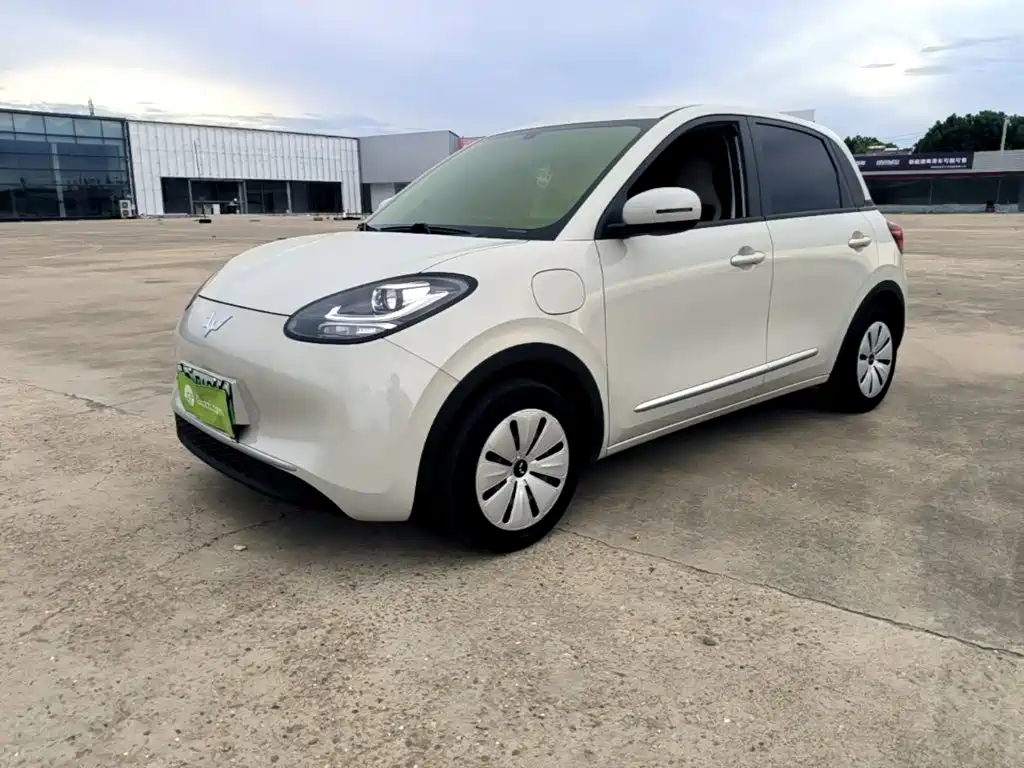 Wuling Binguo