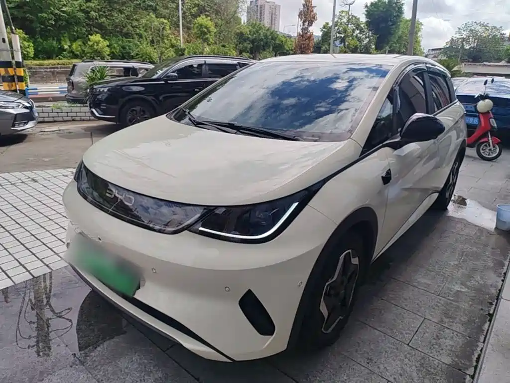 BYD Dolphin