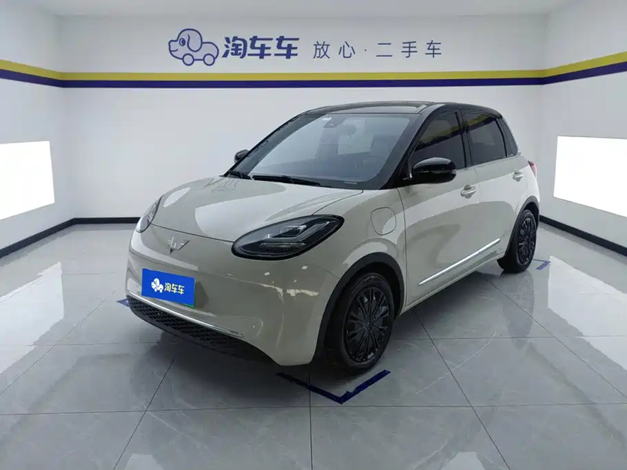 Wuling Binguo