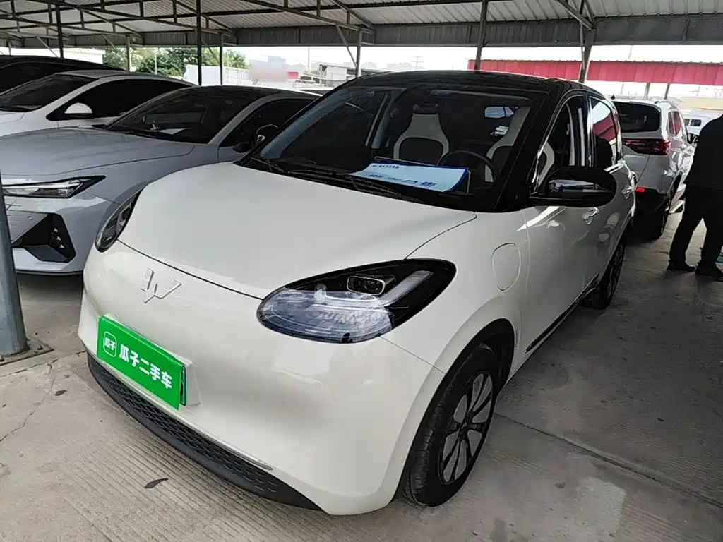 Wuling Binguo