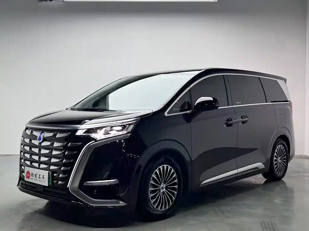 Denza D9