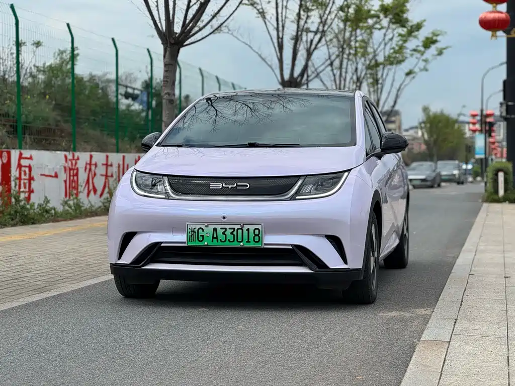 BYD Dolphin