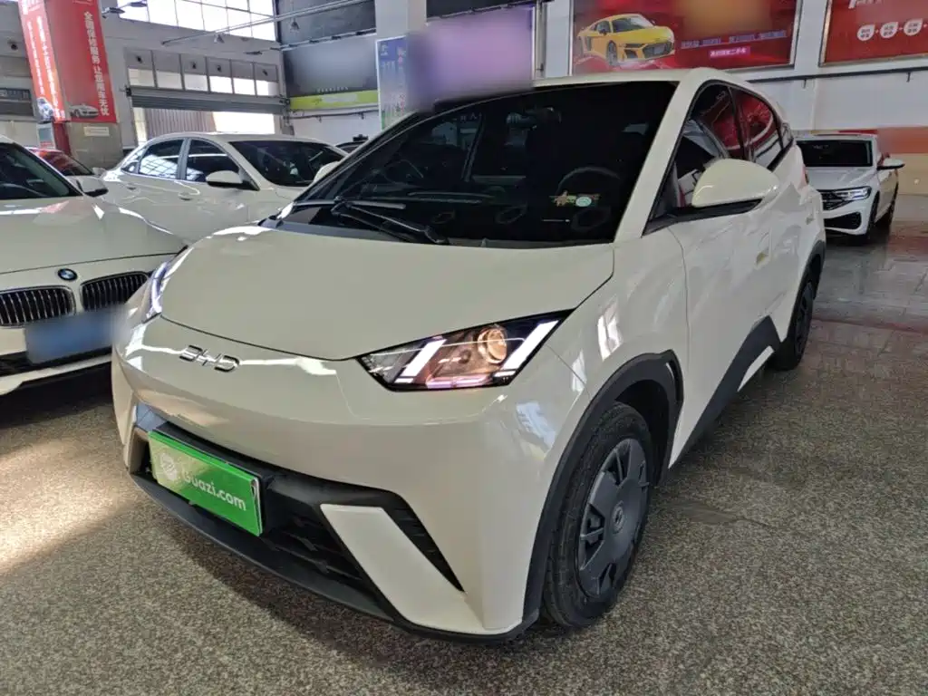 BYD Seagull