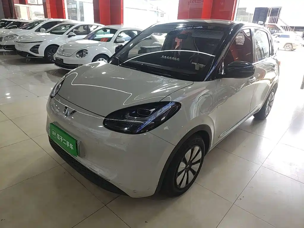 Wuling Binguo