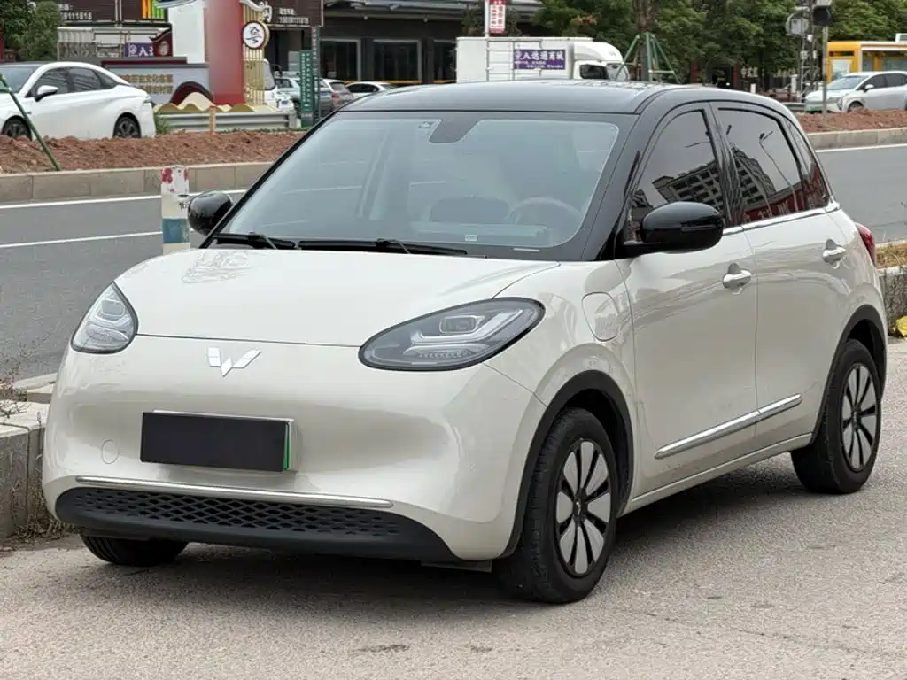 Wuling Binguo