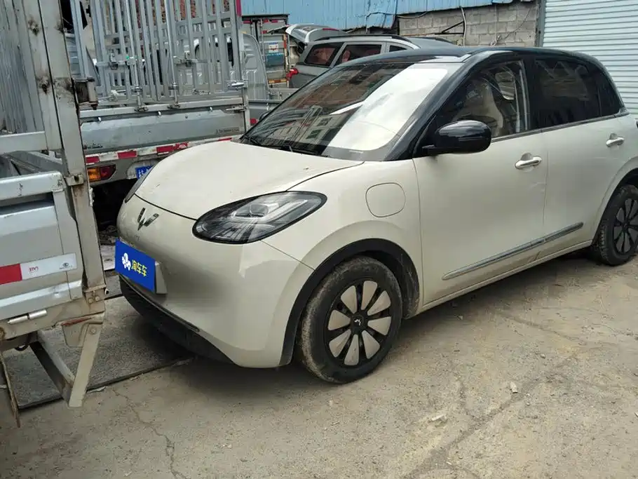 Wuling Binguo