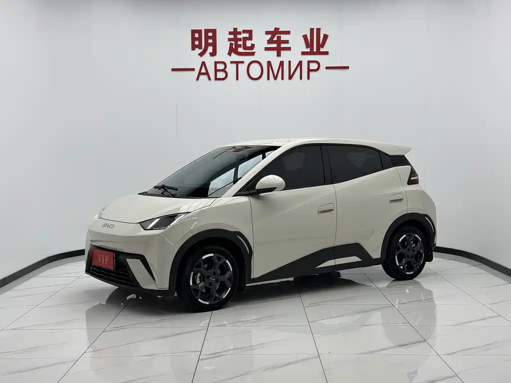 BYD Seagull