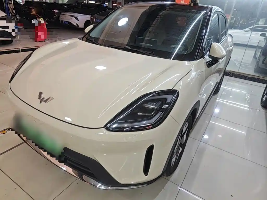 Wuling BinguoS