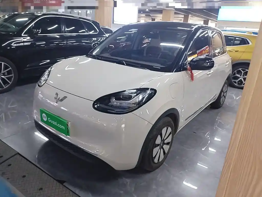 Wuling Binguo