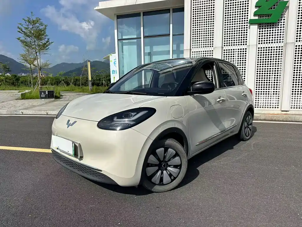 Wuling Binguo