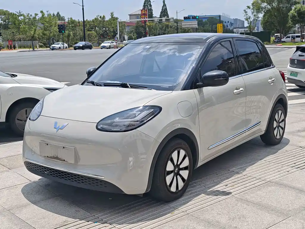 Wuling Binguo