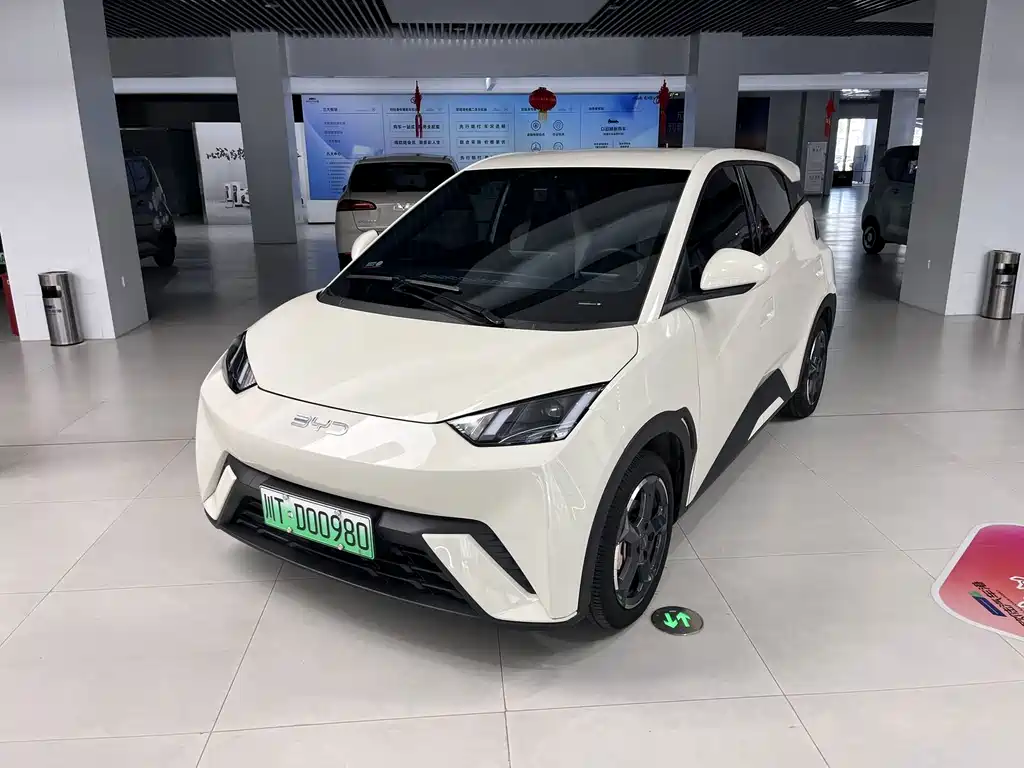 BYD Seagull