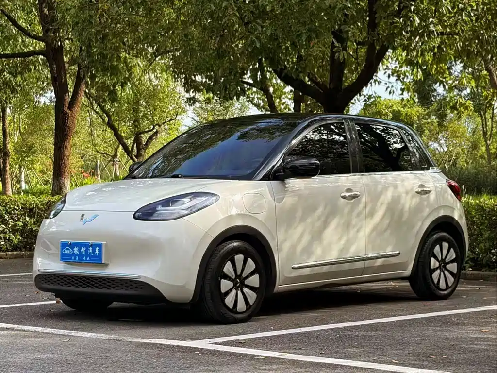 Wuling Binguo
