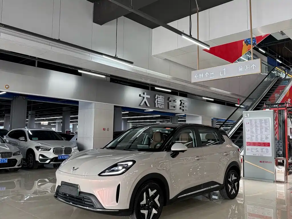 Wuling BinguoS