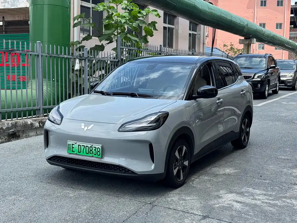 Wuling BinguoPLUS