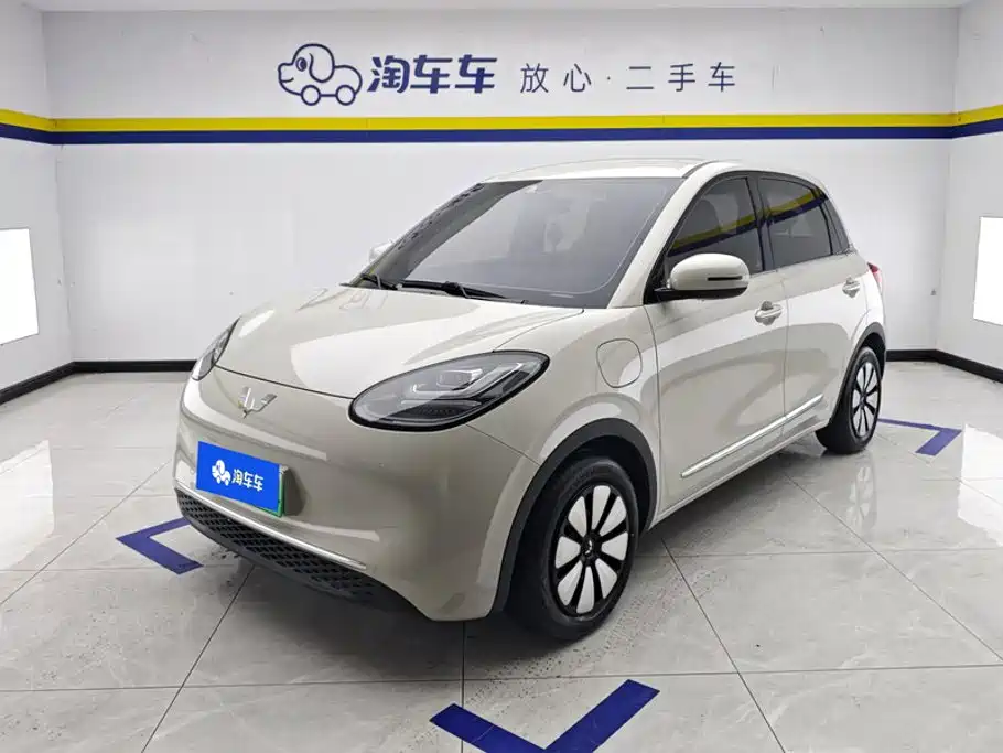 Wuling Binguo