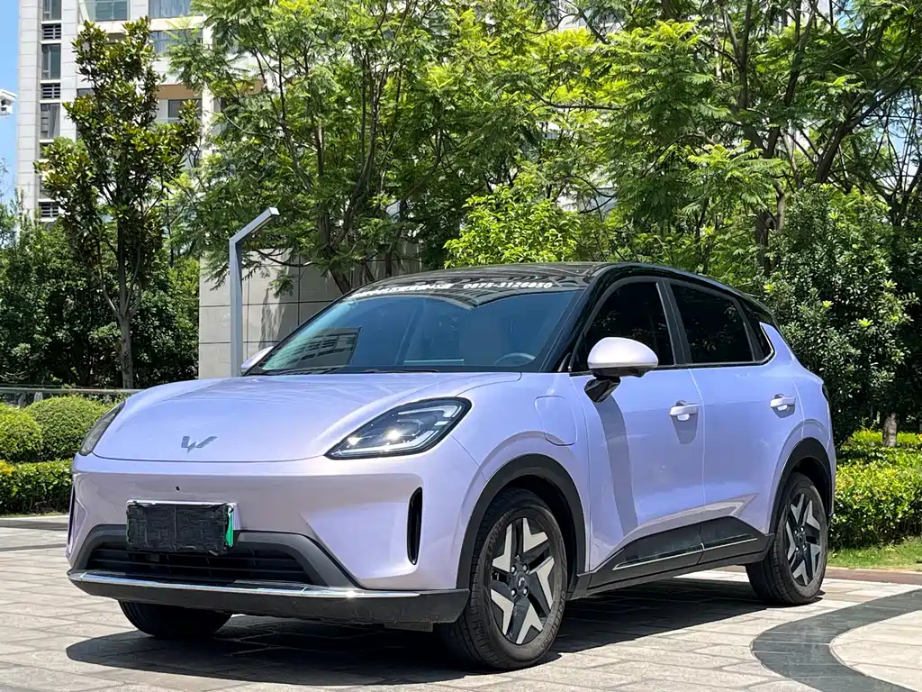 Wuling BinguoS