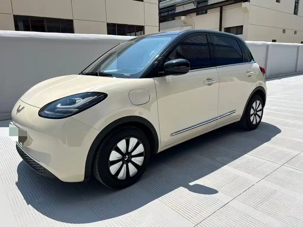 Wuling Binguo