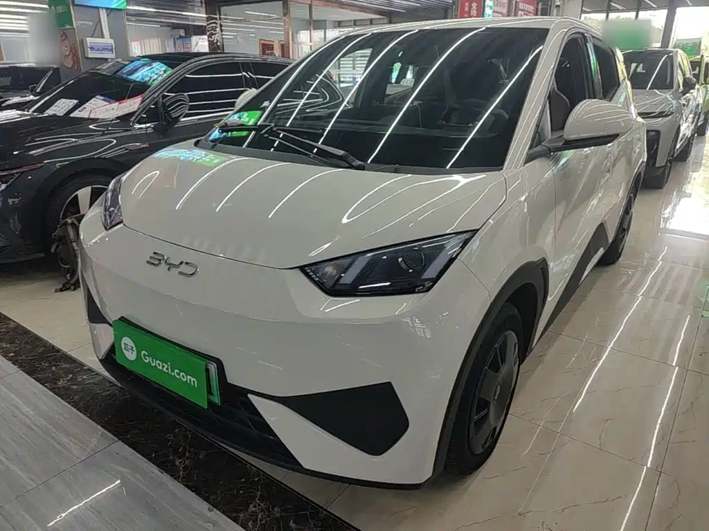 BYD Seagull