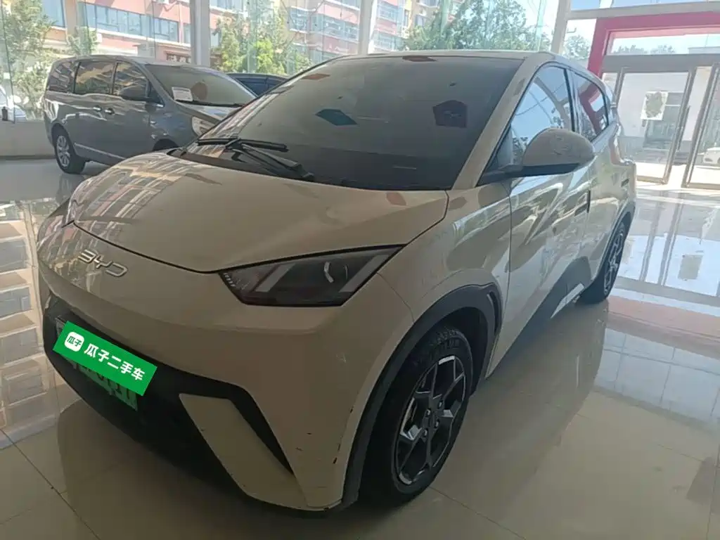 BYD Seagull