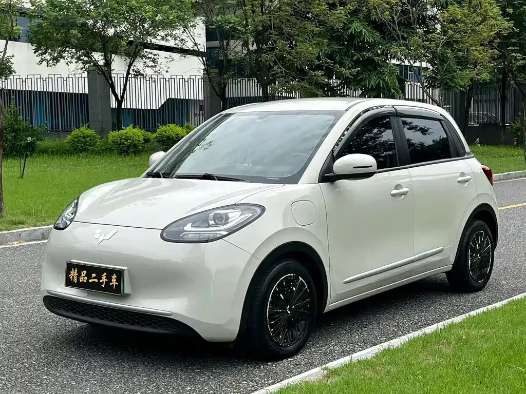 Wuling Binguo