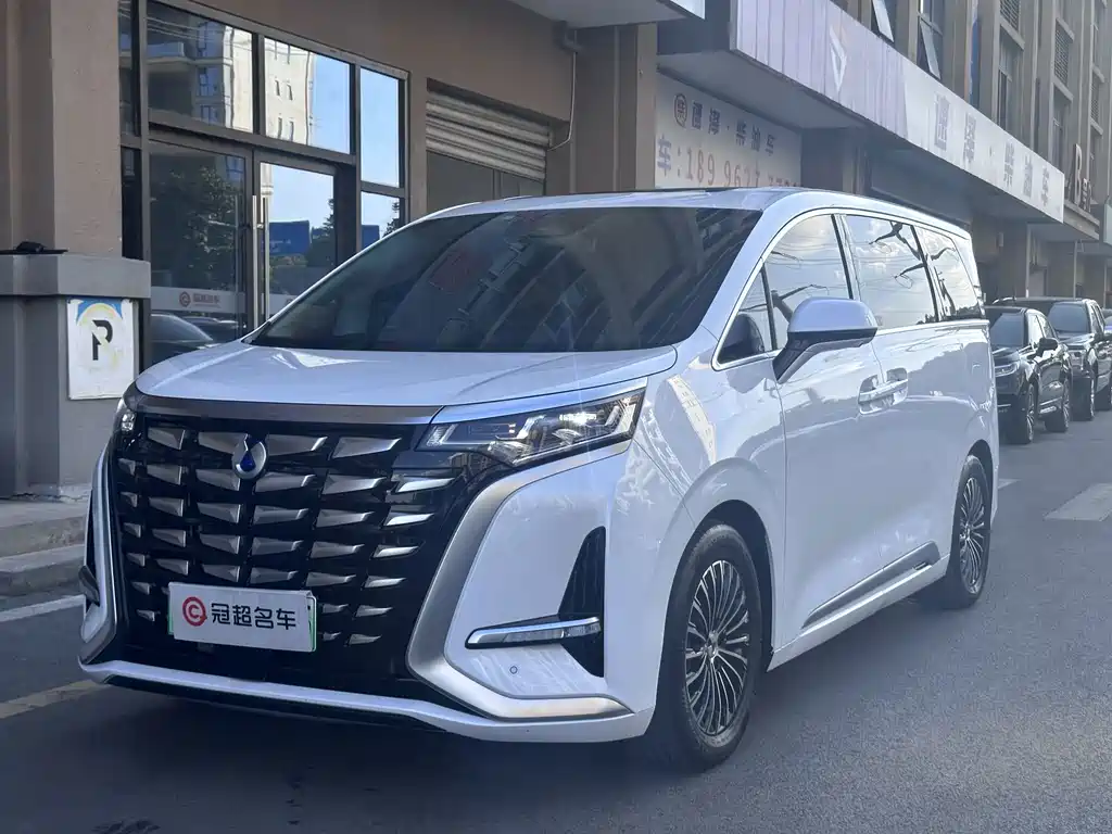 Denza D9