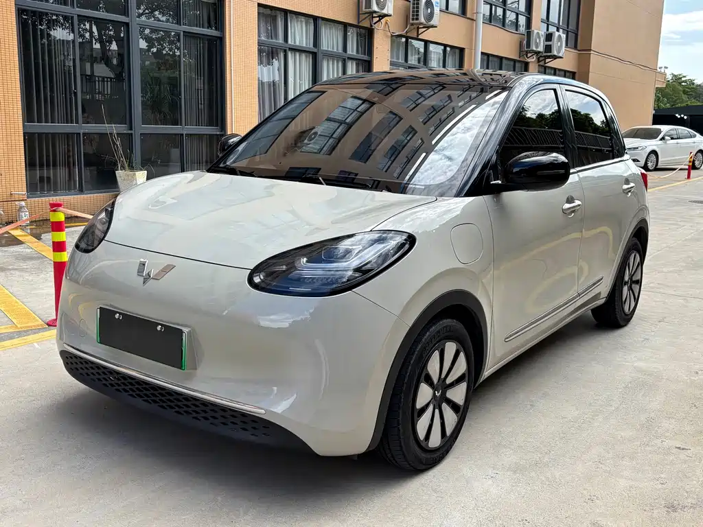 Wuling Binguo