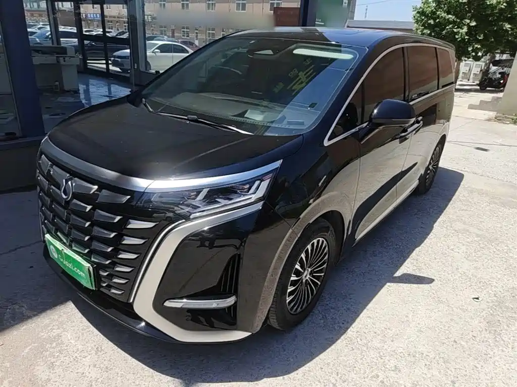 Denza D9