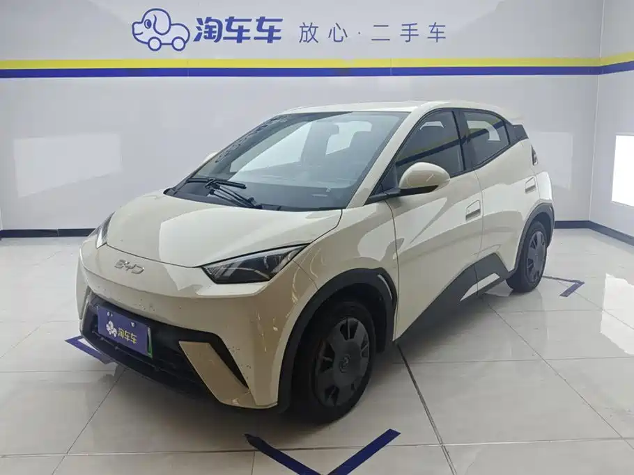 BYD Seagull