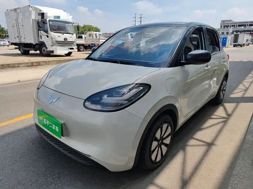 Wuling Binguo