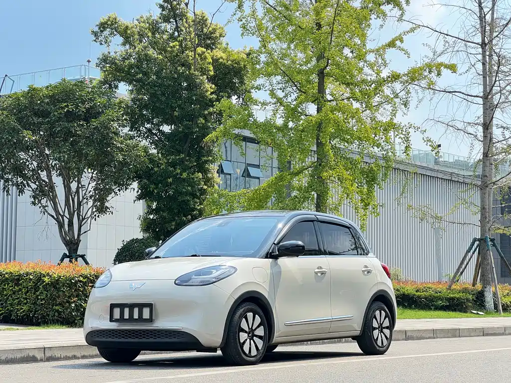 Wuling Binguo