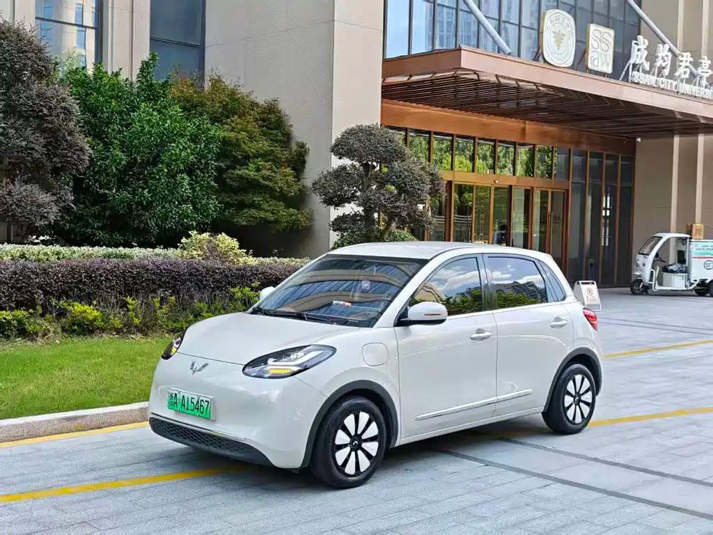 Wuling Binguo