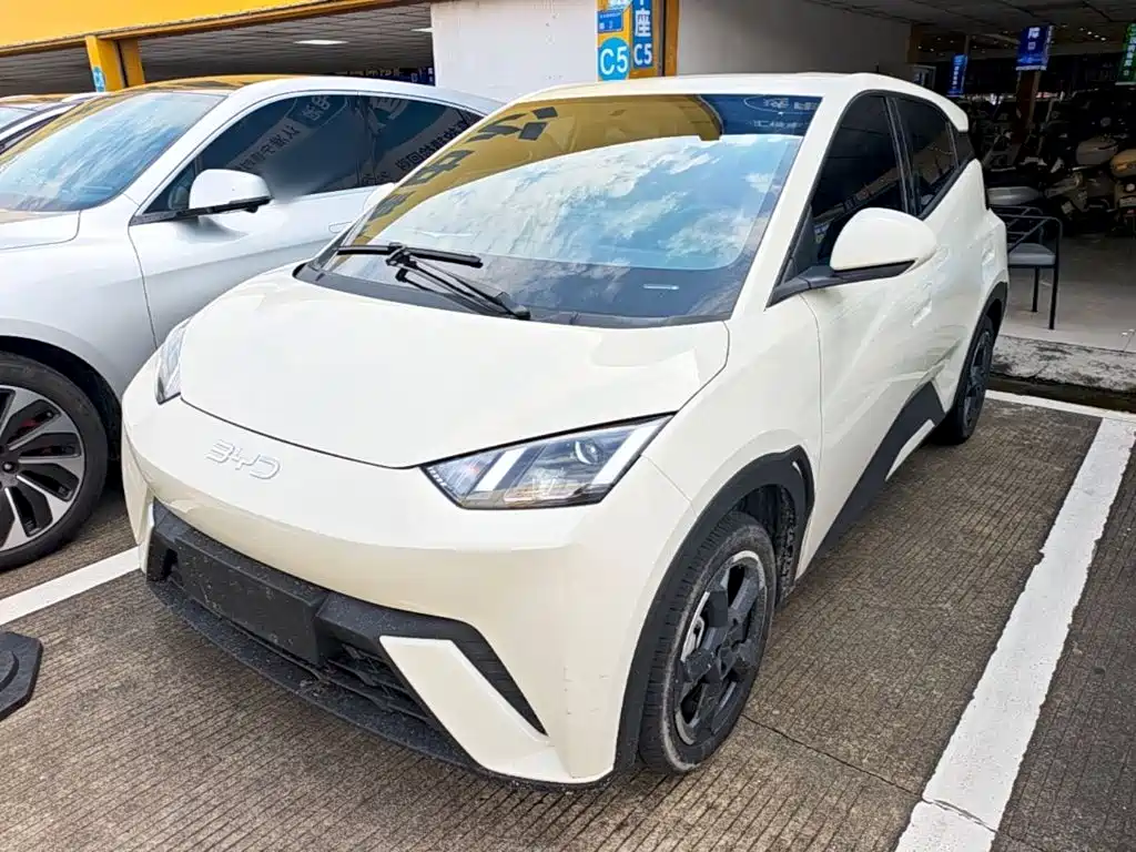 BYD Seagull