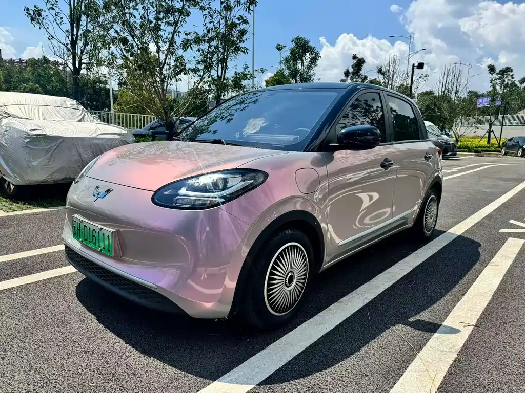 Wuling Binguo