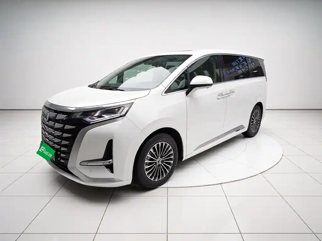 Denza D9