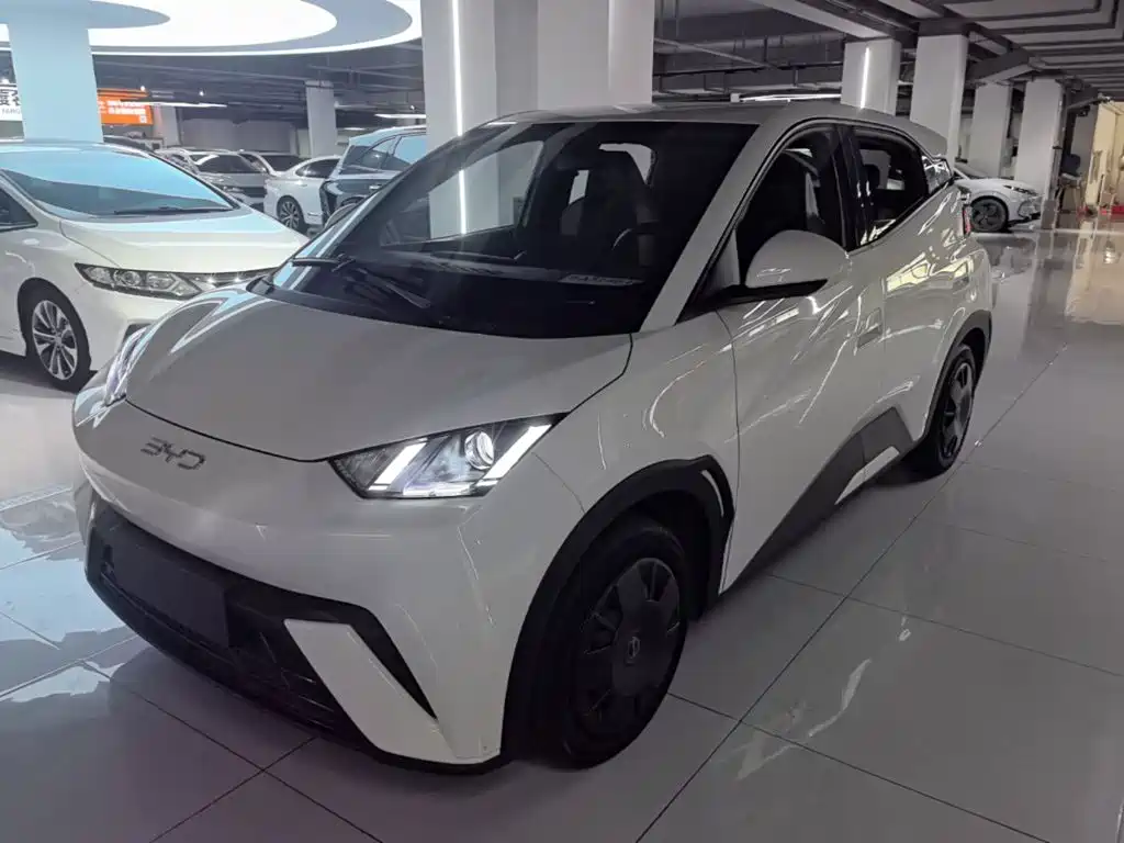 BYD Seagull