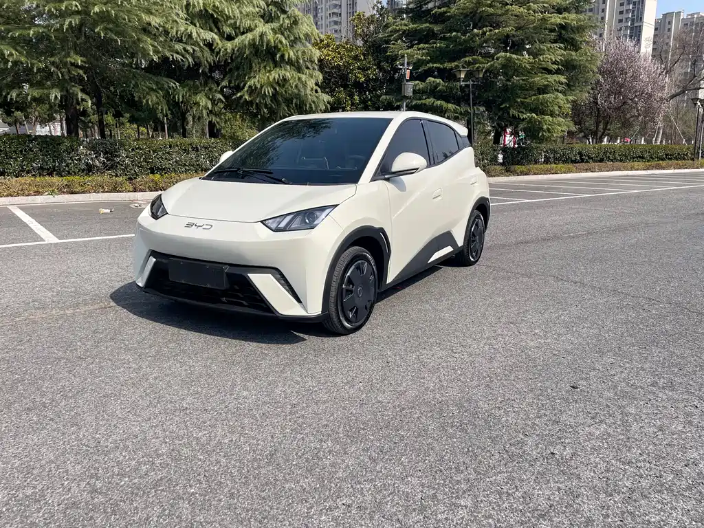 BYD Seagull