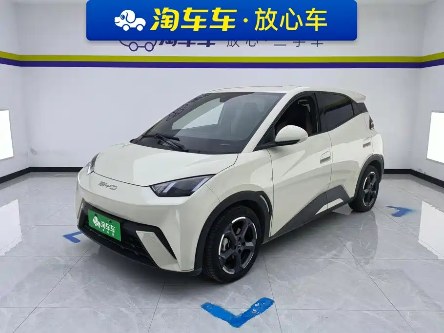BYD Seagull