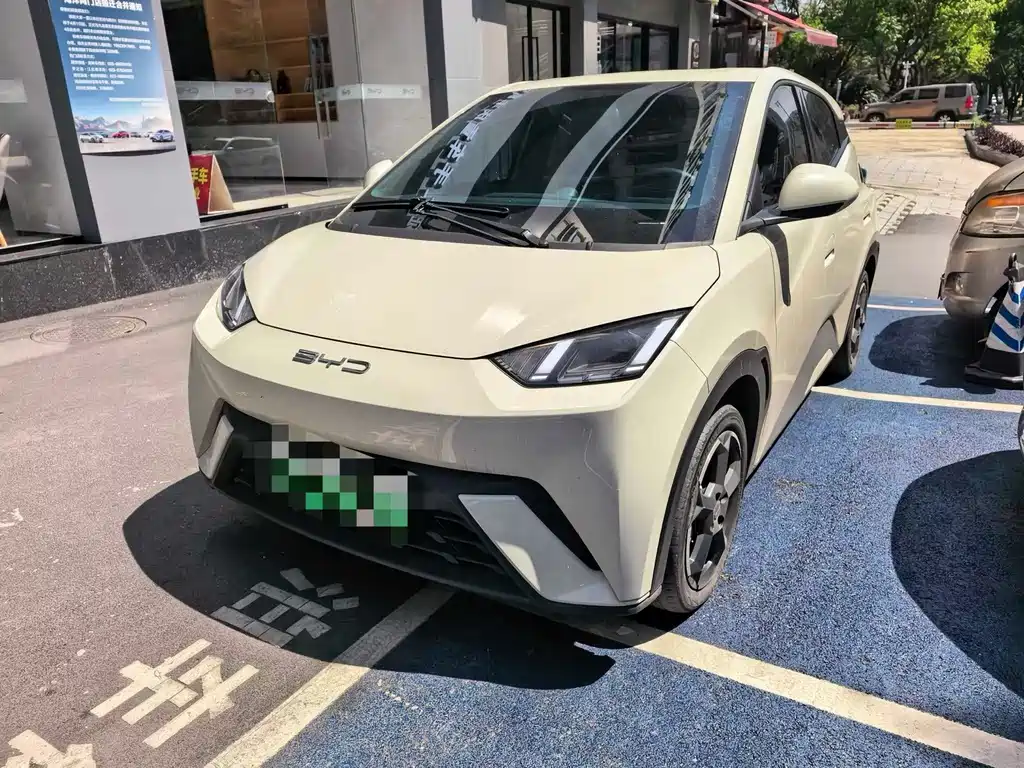 BYD Seagull