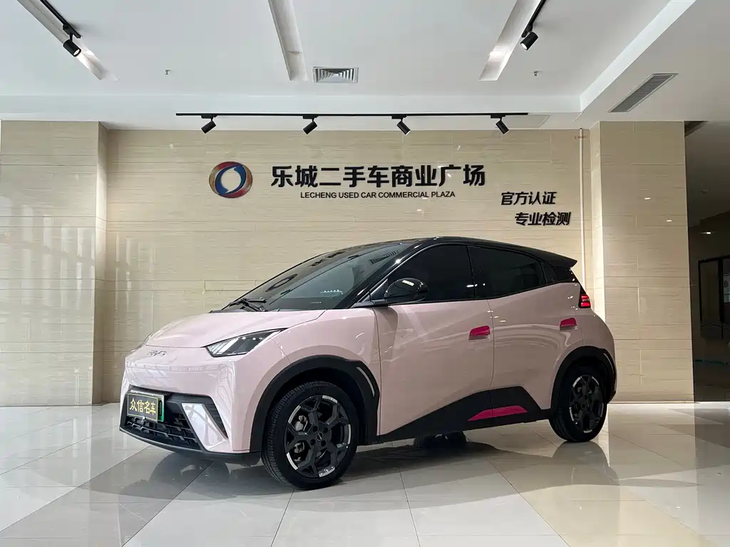 BYD Seagull
