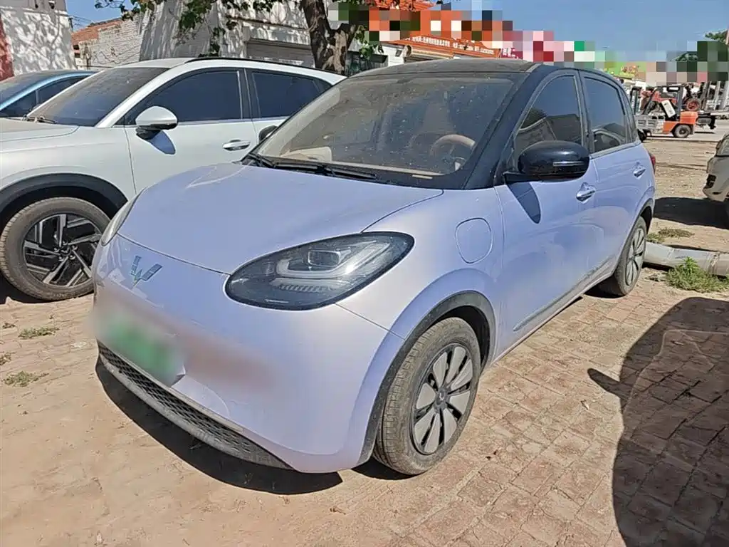 Wuling Binguo