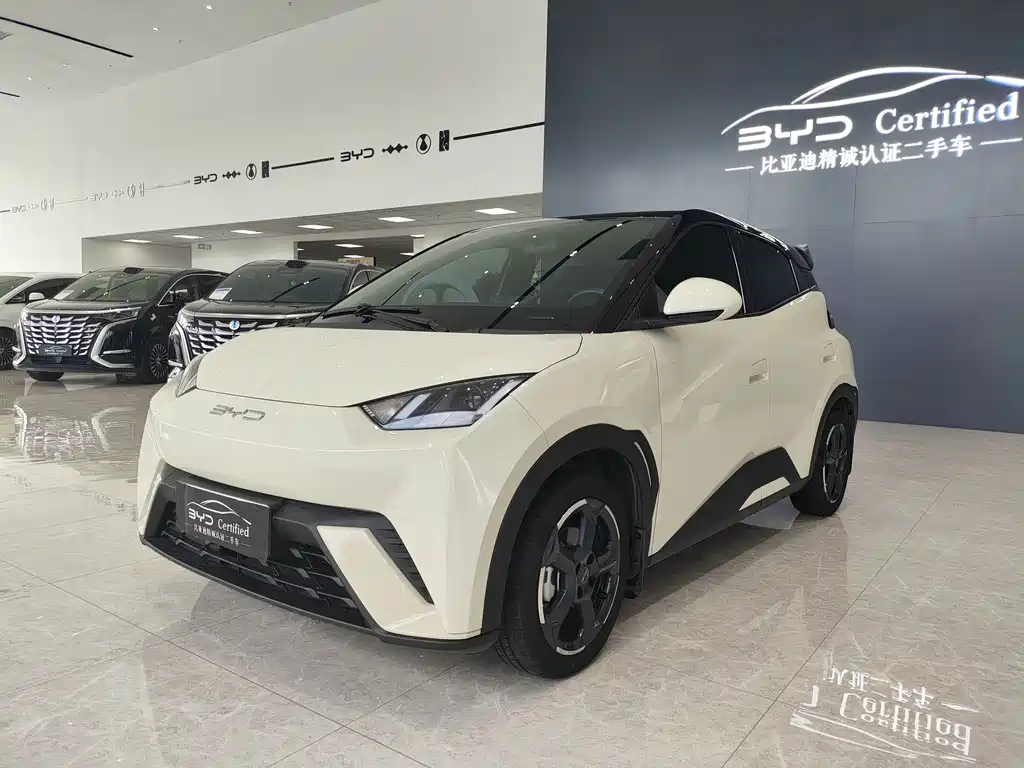 BYD Seagull