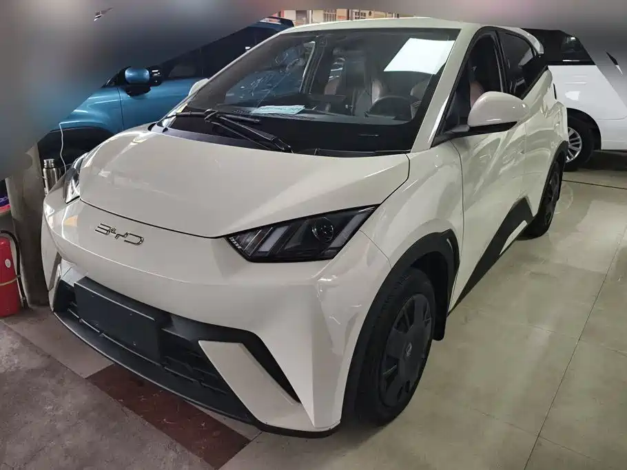 BYD Seagull