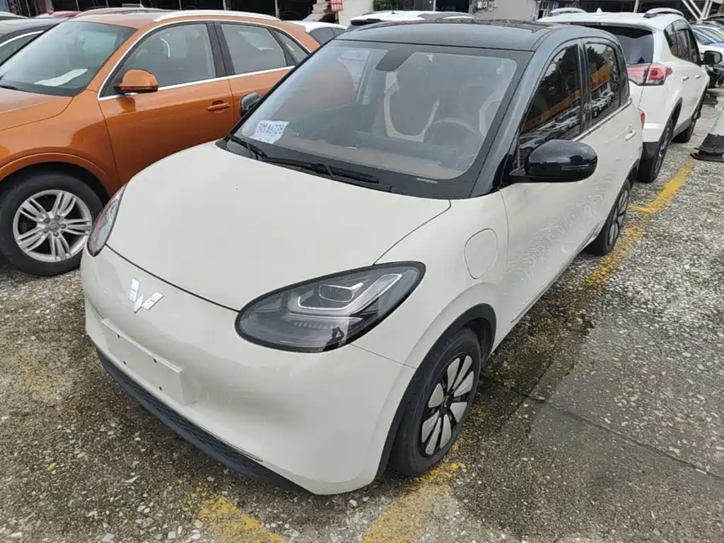 Wuling Binguo