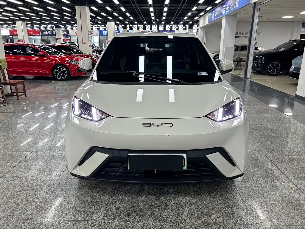 BYD Seagull