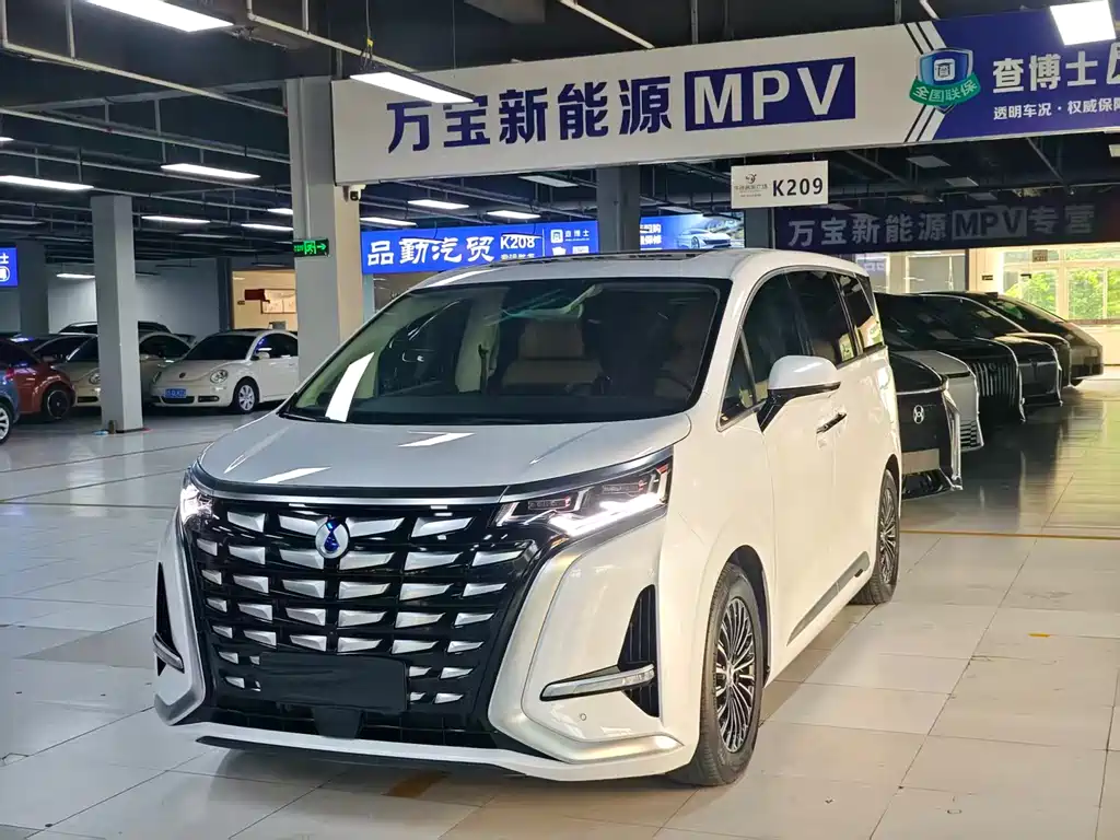 Denza D9