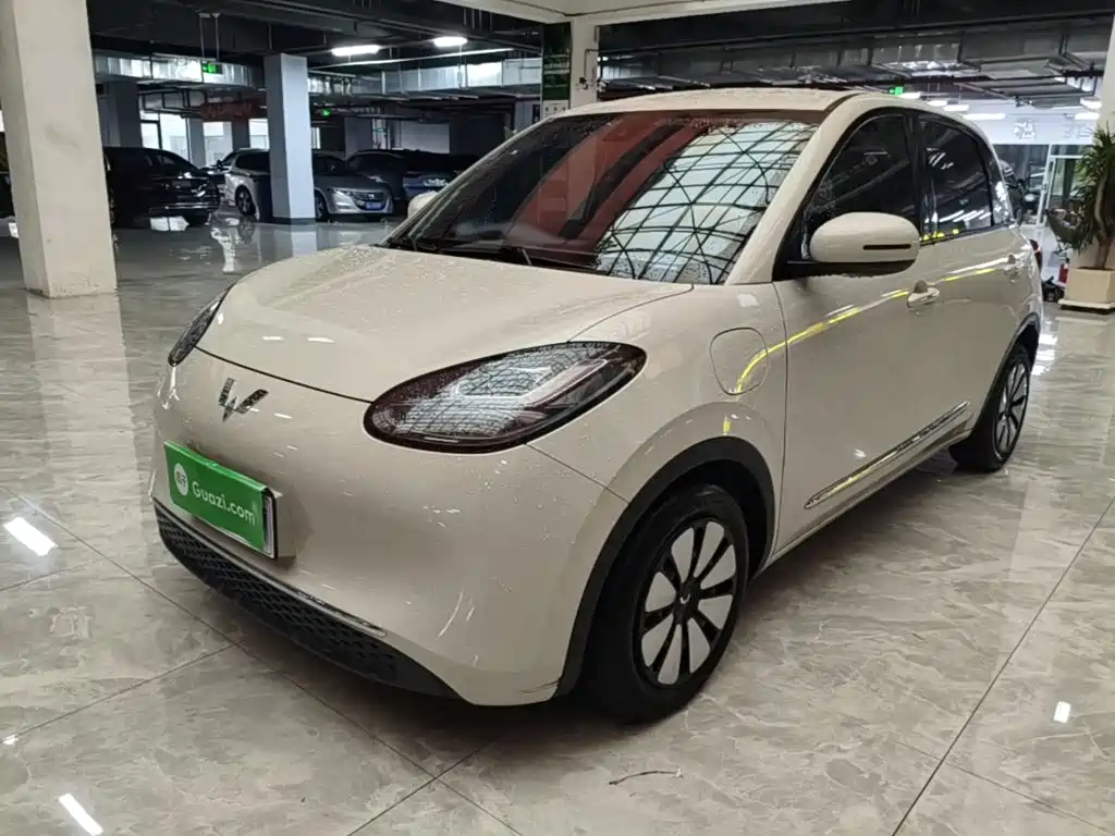 Wuling Binguo